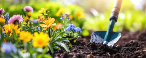 Paysagiste pour plantation de fleurs de jardin à Ajaccio, Ajaccio, Rivière Paysagiste