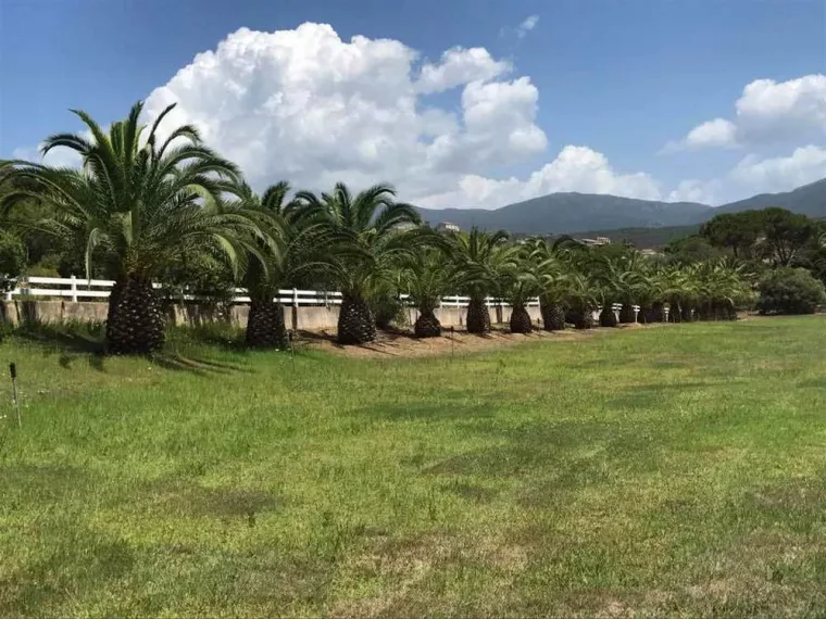 Deux choix s’offrent à vous pour votre pelouse : le gazon en rouleaux ou le gazon semé, Ajaccio, Rivière Paysagiste