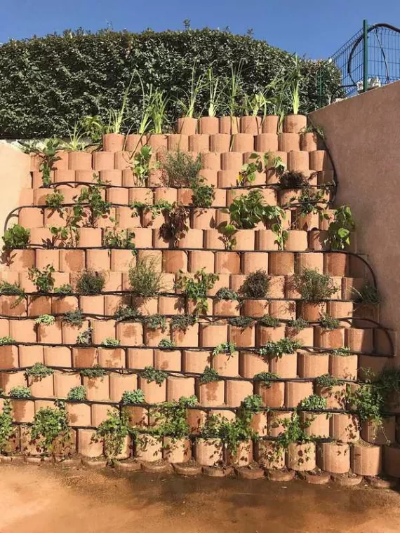 De quoi est composé un mur végétal ? On vous explique tout !, Ajaccio, Rivière Paysagiste