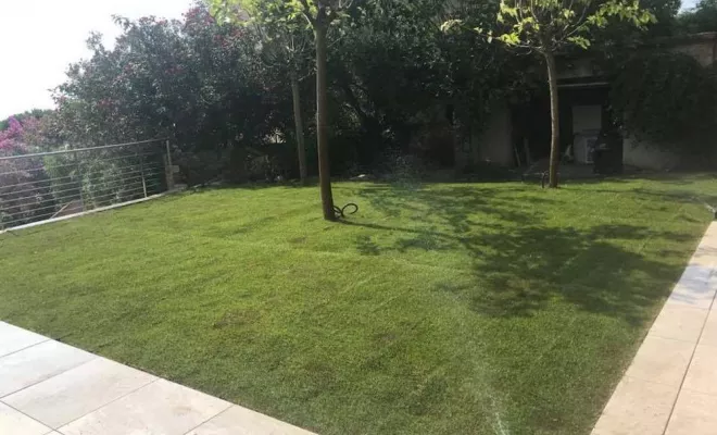 Gazon naturel, Ajaccio, Rivière Paysagiste