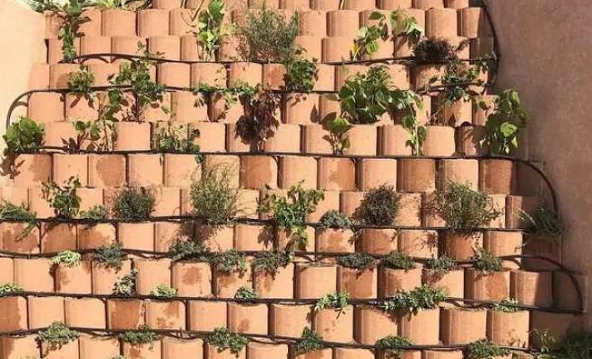 Mur végétalisé, Ajaccio, Rivière Paysagiste