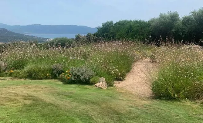 Taille de haie et tonte de pelouse, Ajaccio, Rivière Paysagiste